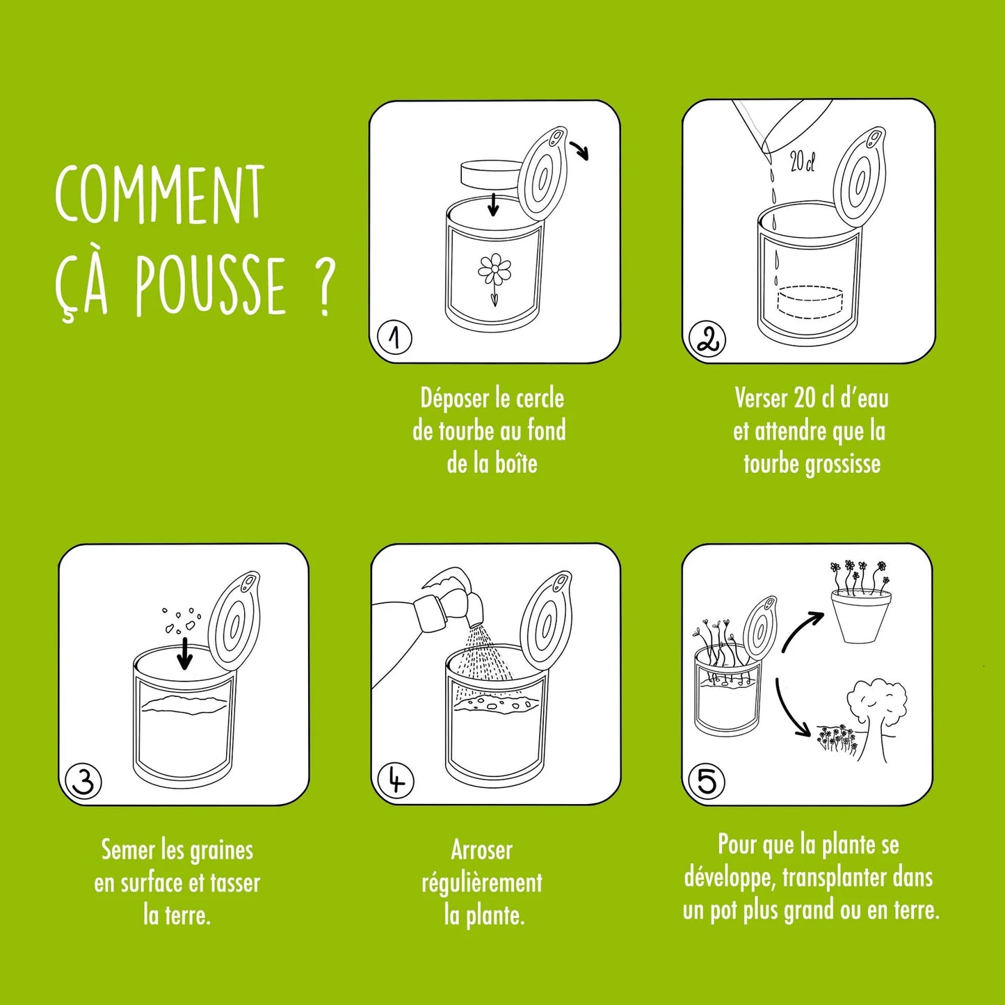 Kit à semer - Bonne Année