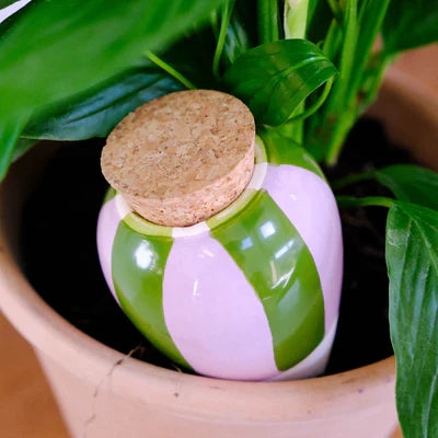 Olla - Vert
