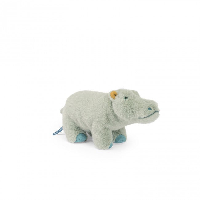 Petit hippopotame - Tout autour du monde