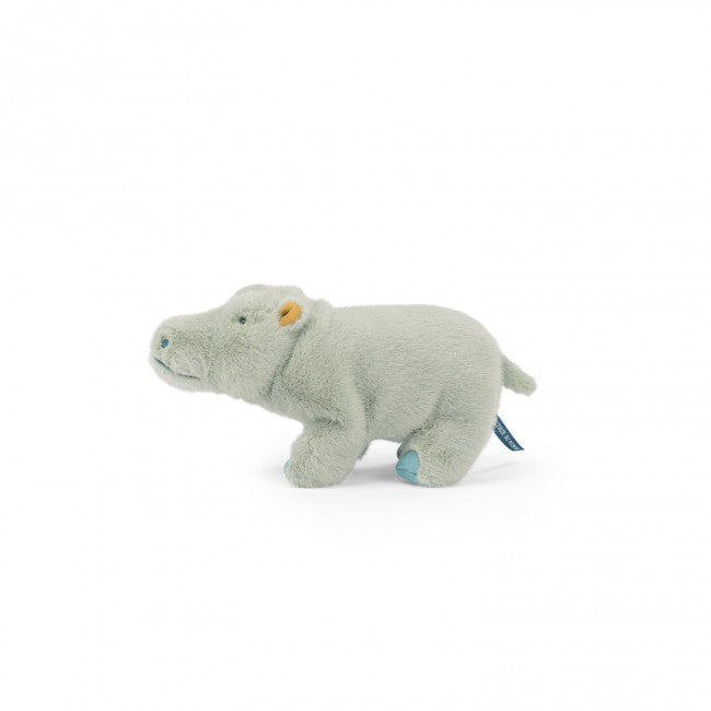 Petit hippopotame - Tout autour du monde