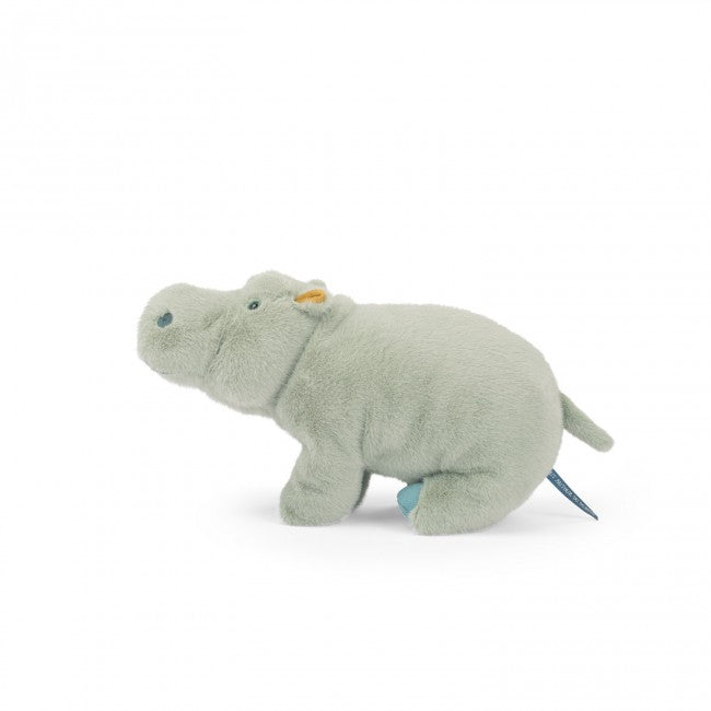 Grand hippopotame - Tout autour du monde