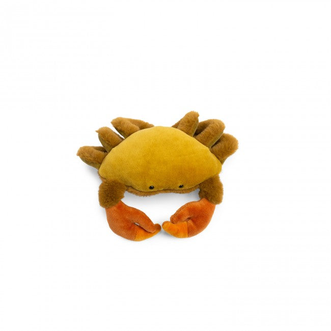 Petit Crabe - Tout autour du monde