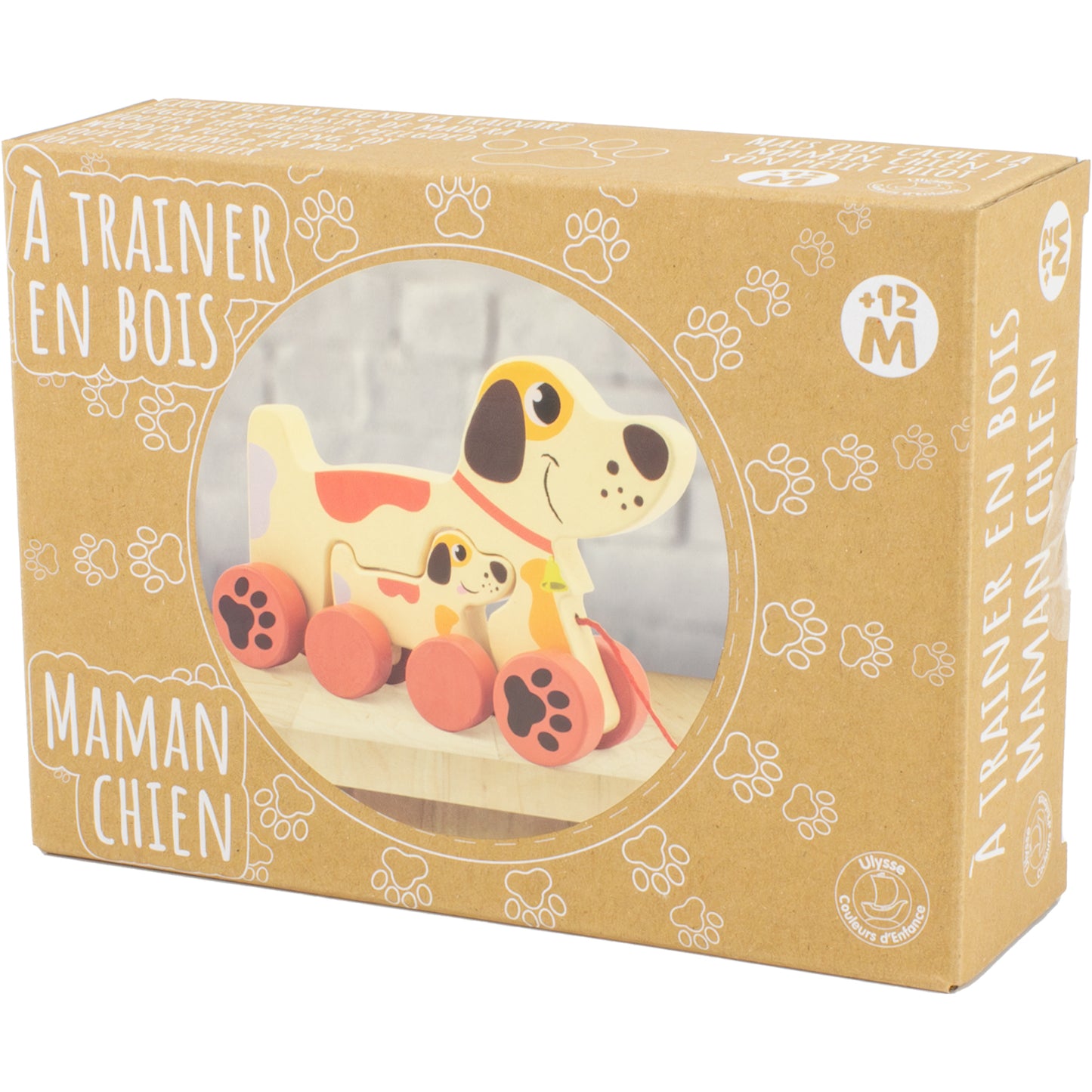 Maman chien à trainer