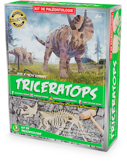 Kit paléo - Tricératops