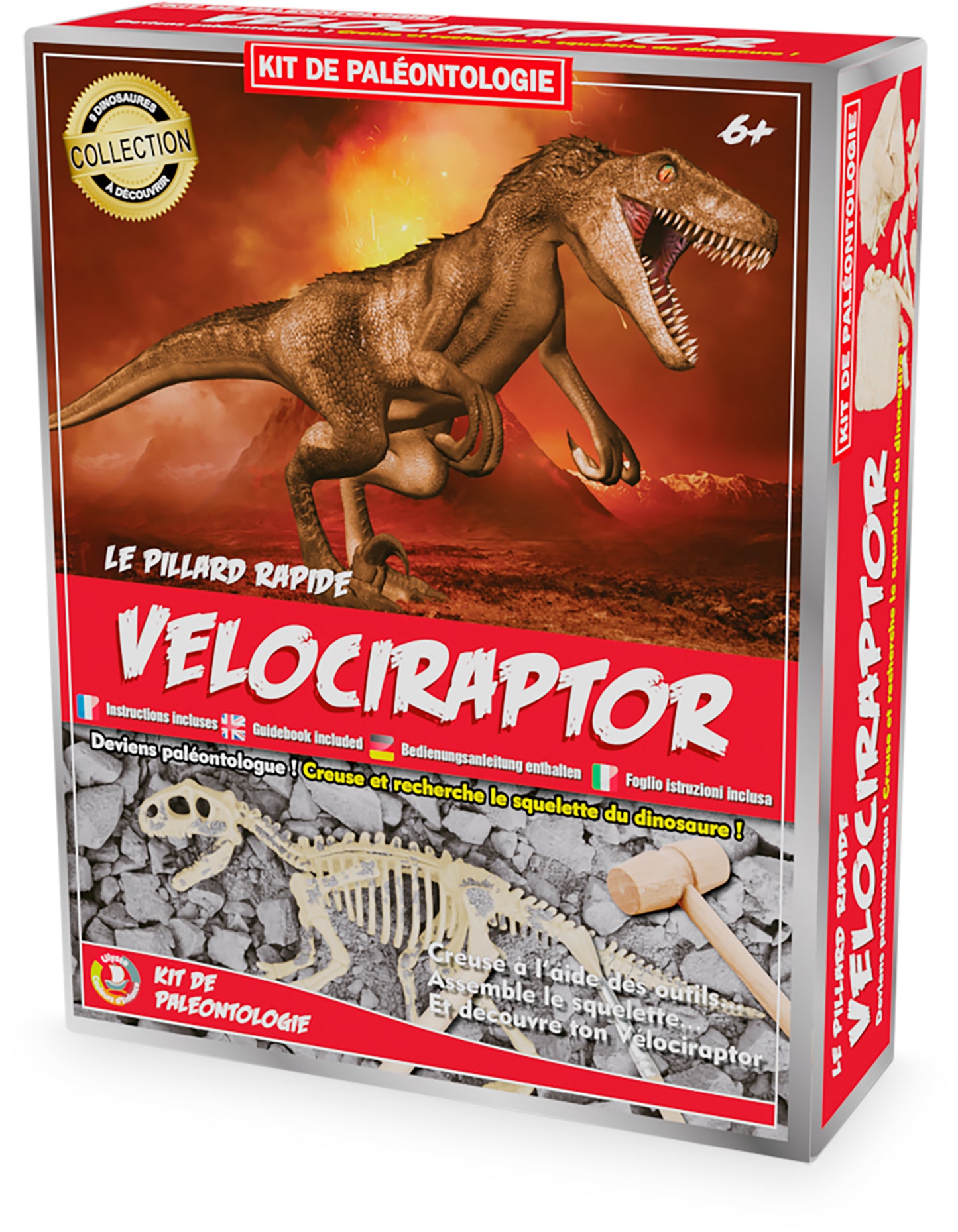 Kit paléo - Vélociraptor