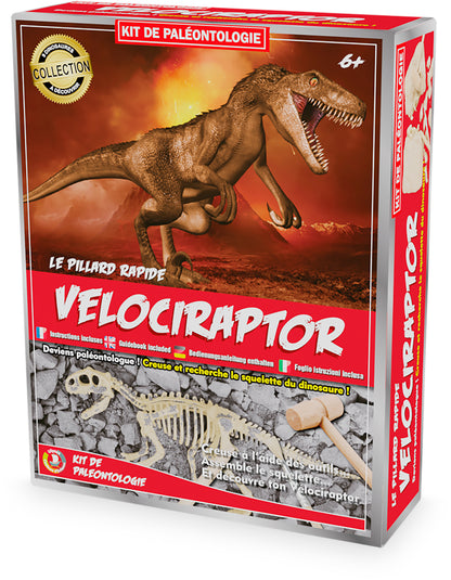 Kit paléo - Vélociraptor