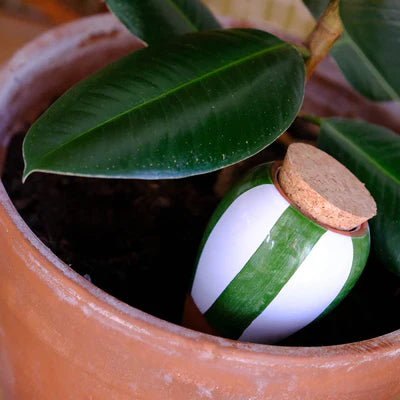 Olla - Vert